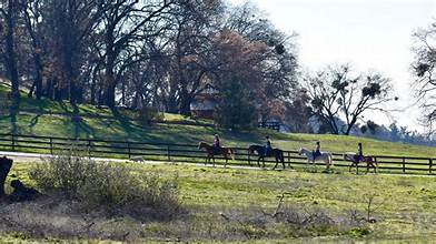INTEGRITY STABLES